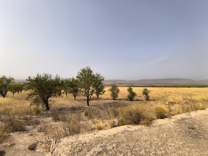Terrenos en venta