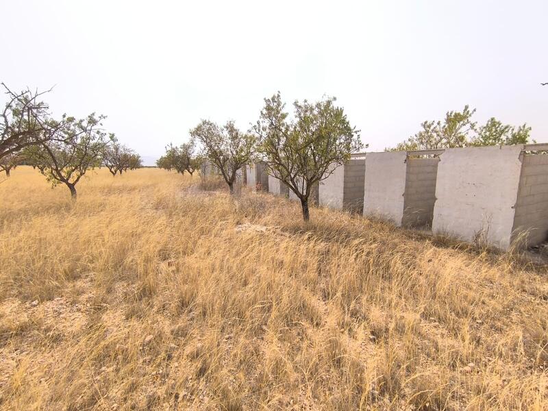 Terrenos en venta