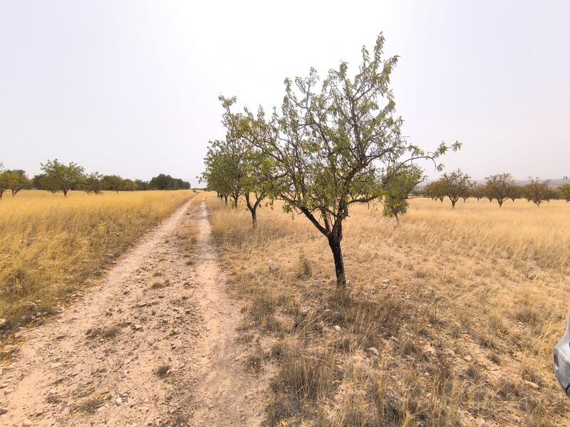 Terrenos en venta
