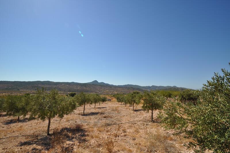 Terrain à vendre dans Macisvenda, Murcia