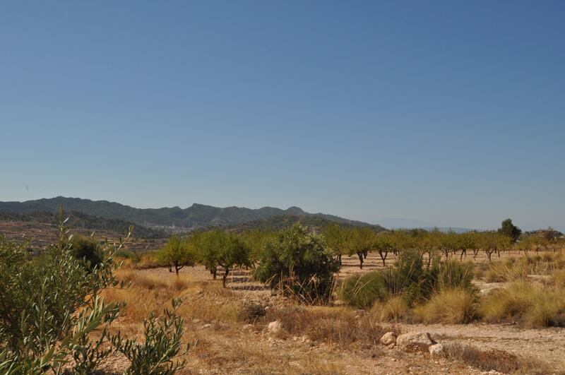 Terrain à vendre