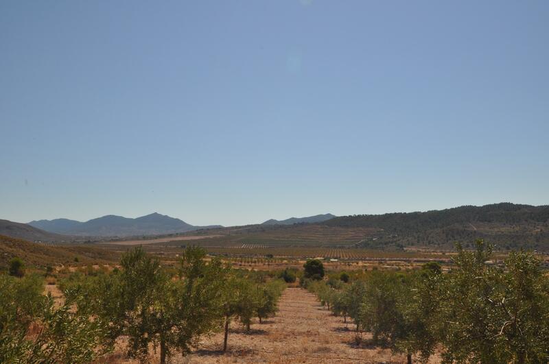 Terrain à vendre