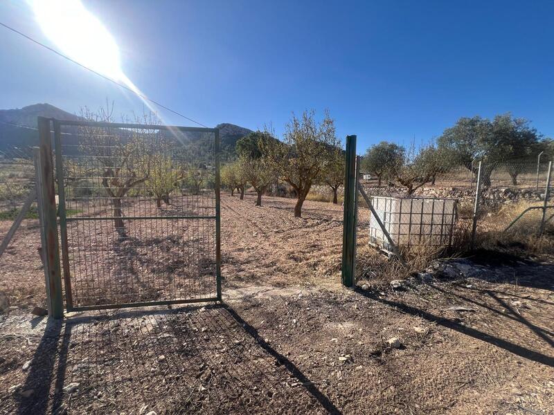 3 Cuarto Adosado en venta