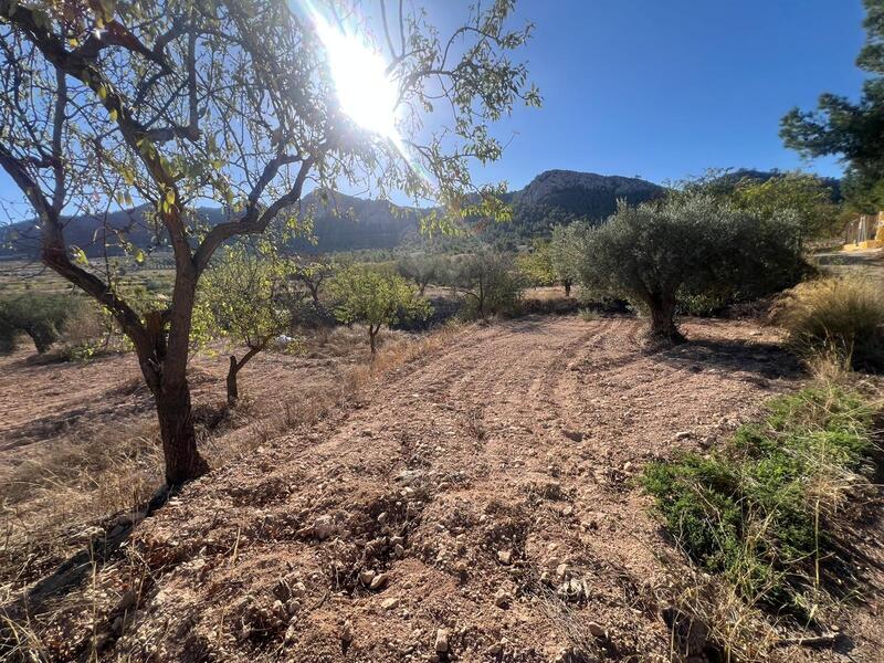 3 Cuarto Adosado en venta