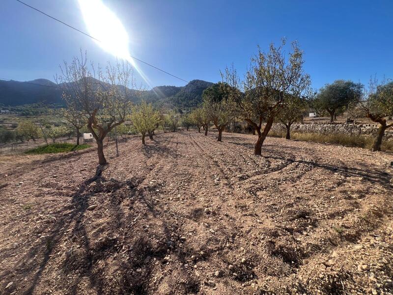 3 Cuarto Adosado en venta