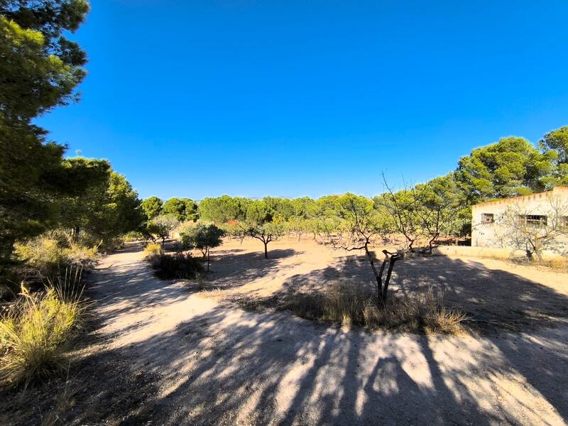 5 slaapkamer Villa Te koop
