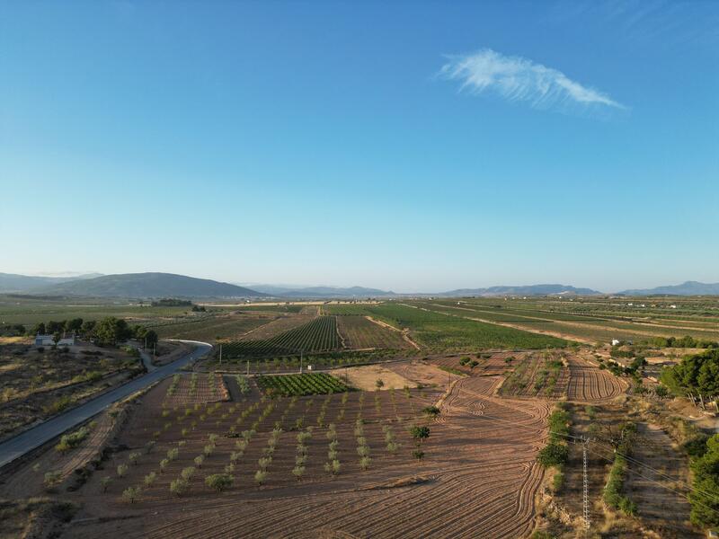 Land for sale