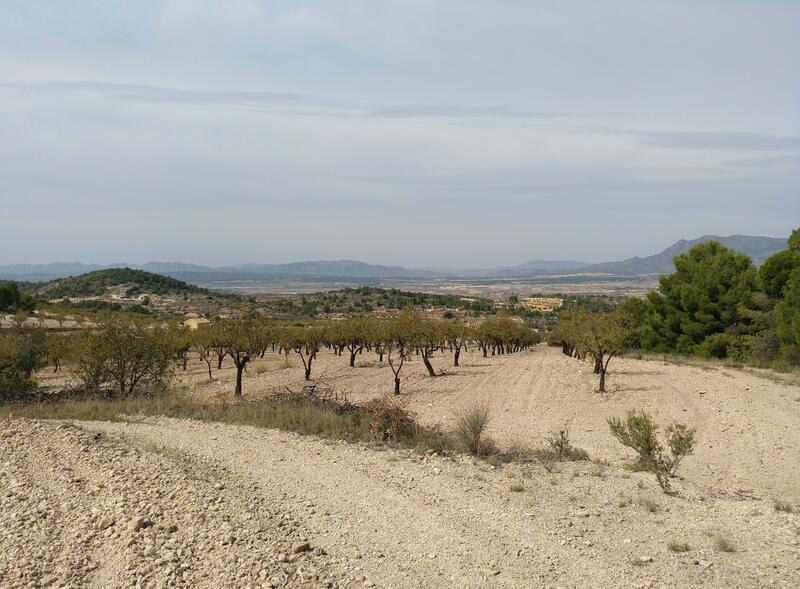 Land for sale in Abanilla, Murcia