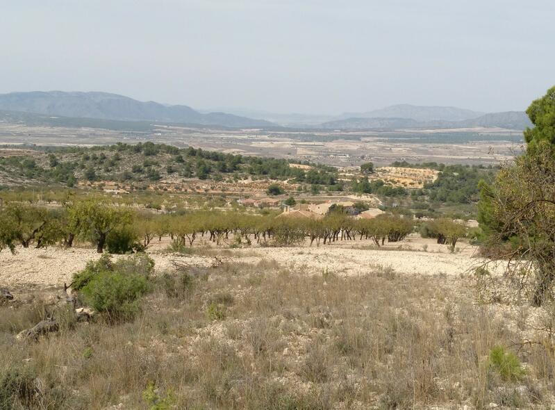 Terrain à vendre