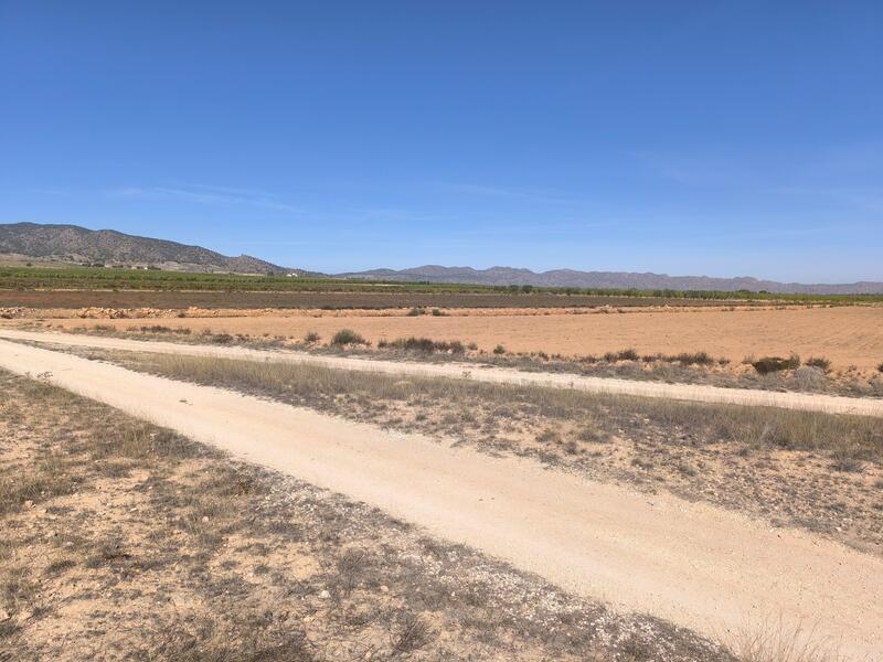 Land for sale