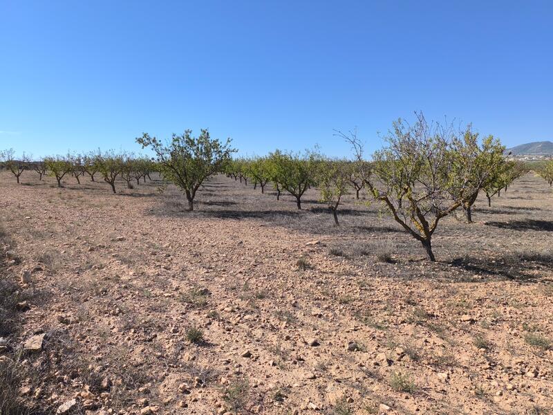 Land for sale