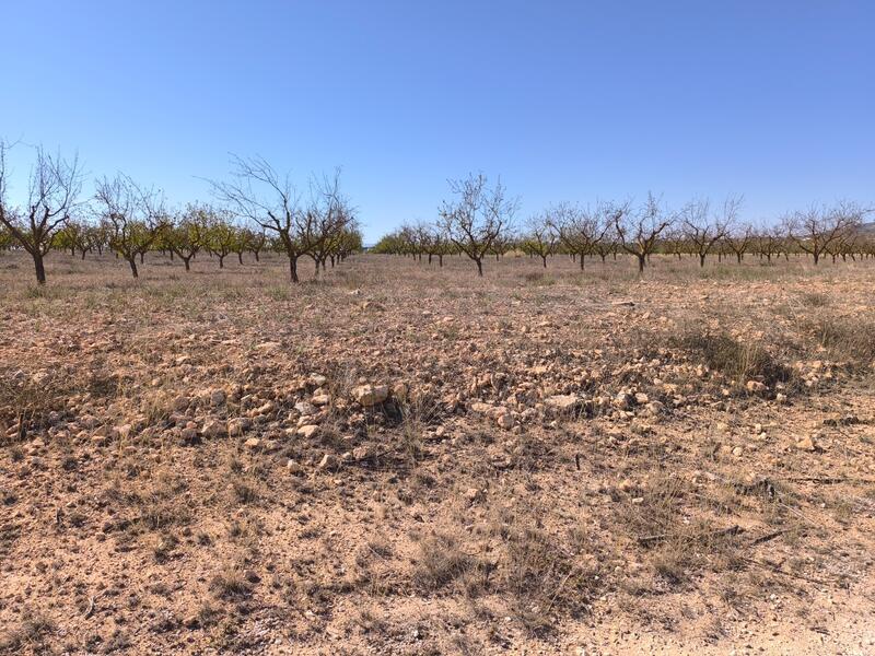 Land for sale