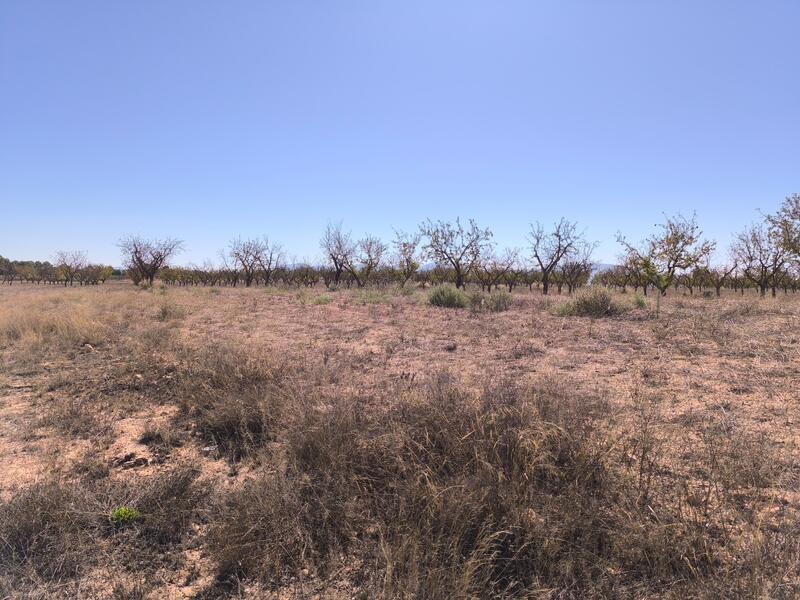 Land for sale