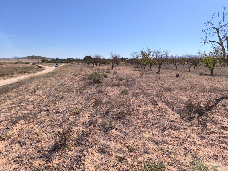 Land for sale