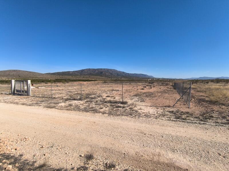 Land for sale in Pinoso, Alicante