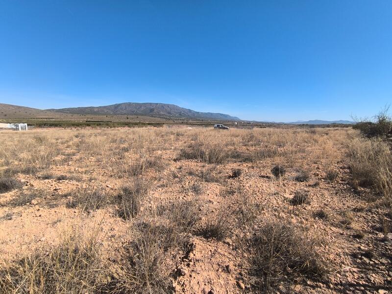 Land for sale