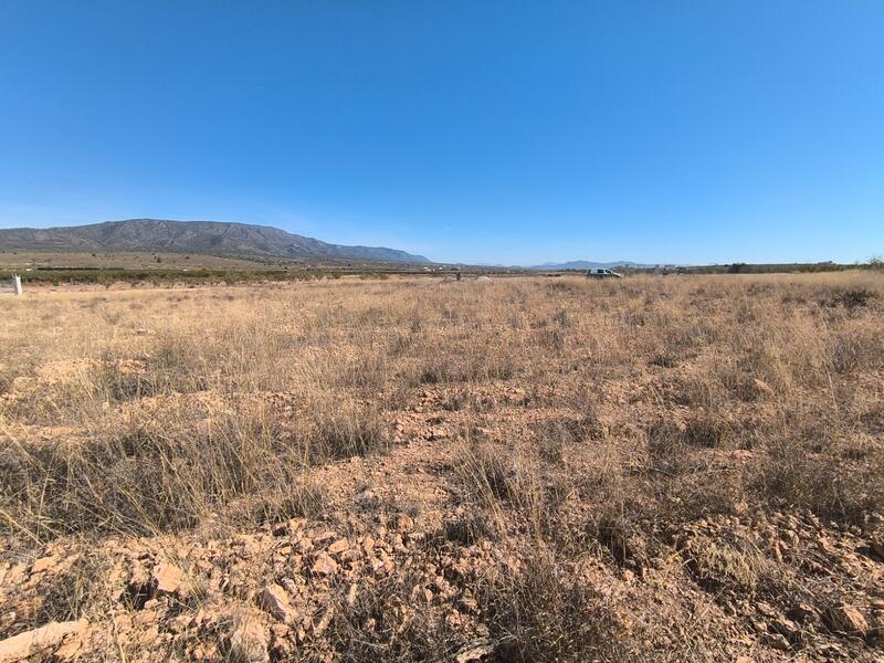 Land for sale
