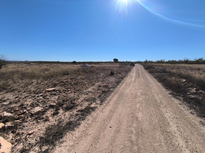 Land for sale