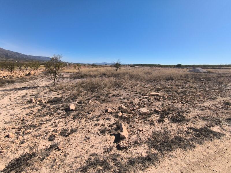 Land for sale
