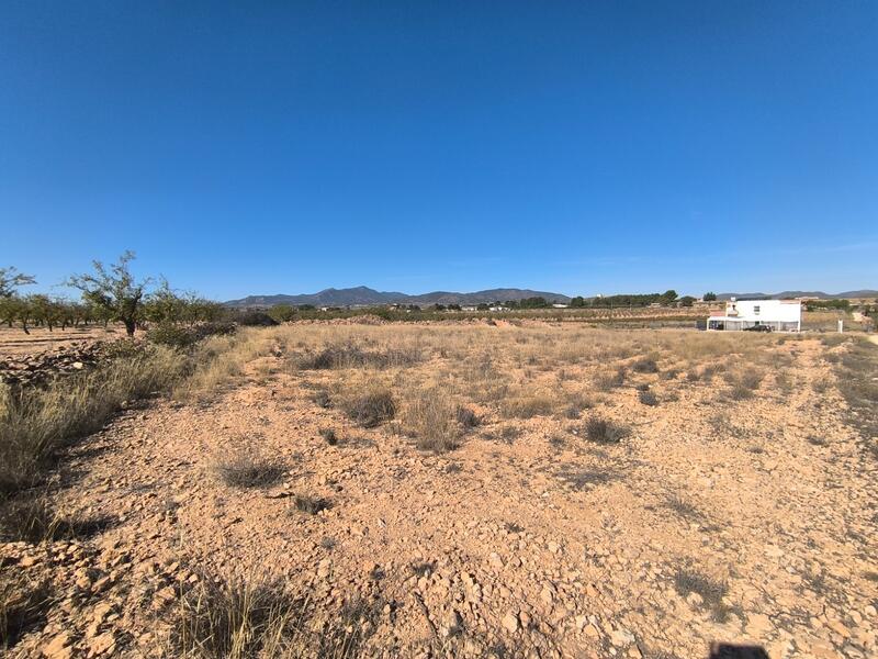 Land for sale