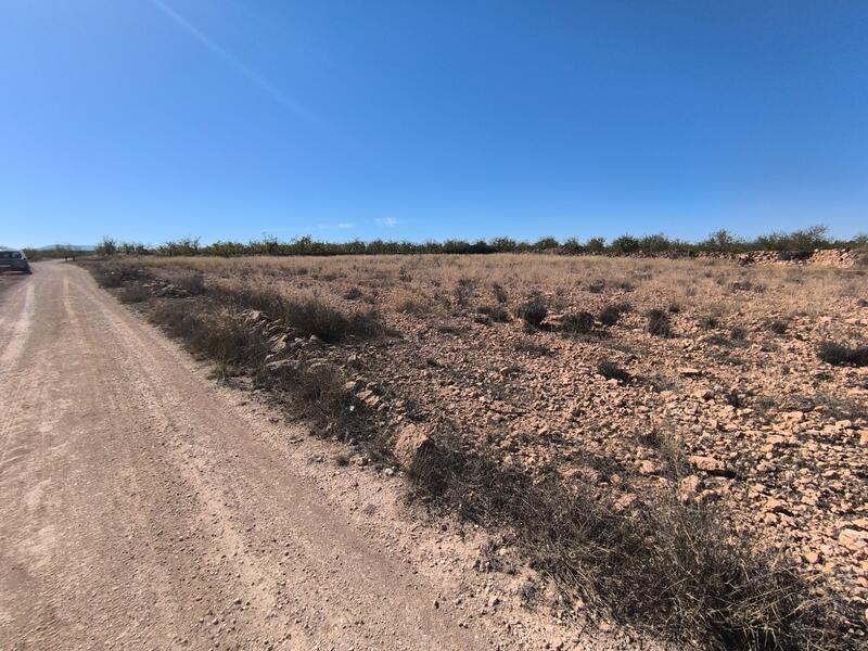 Land for sale