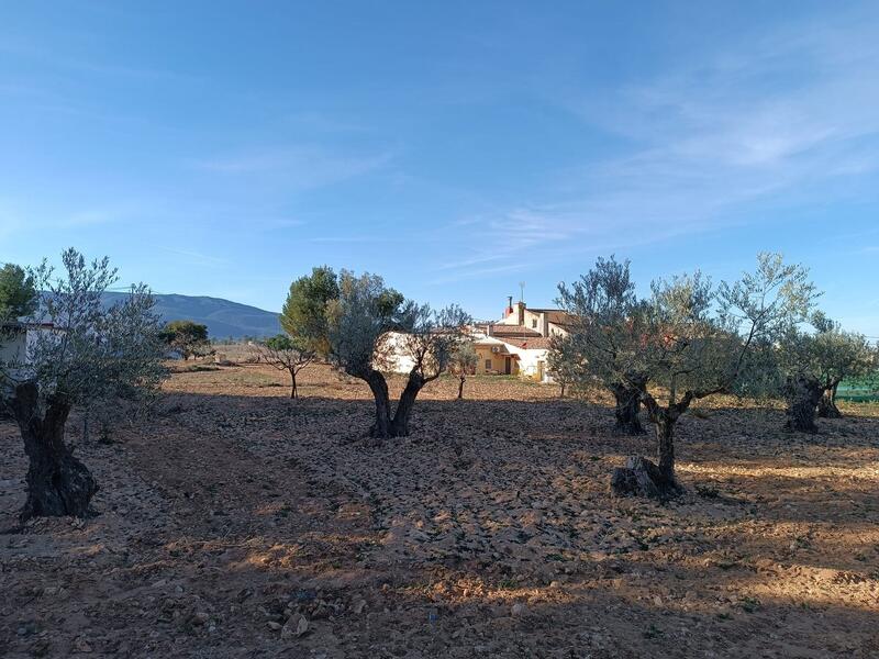 6 bedroom Country House for sale