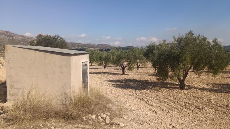 Land til salgs i Salinas, Alicante