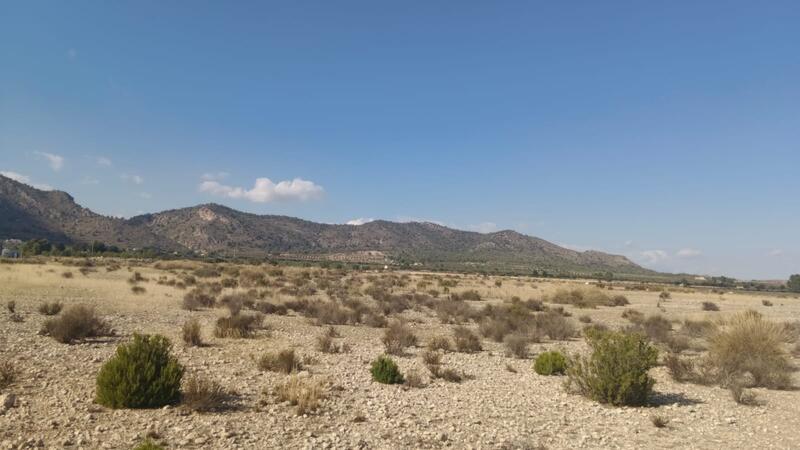 Terrenos en venta