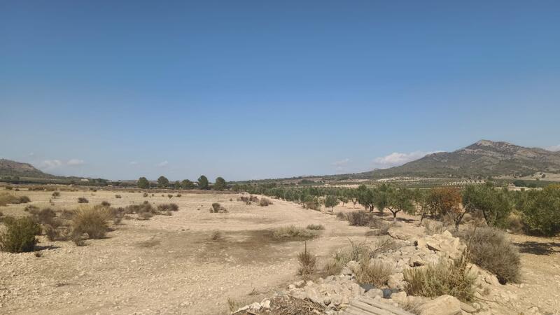 Terrenos en venta
