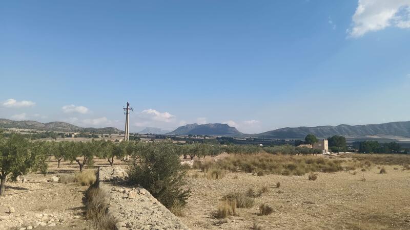 Terrenos en venta
