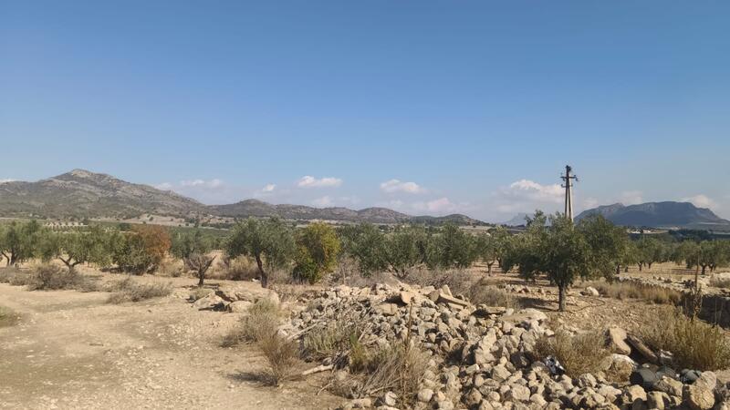 Terrenos en venta