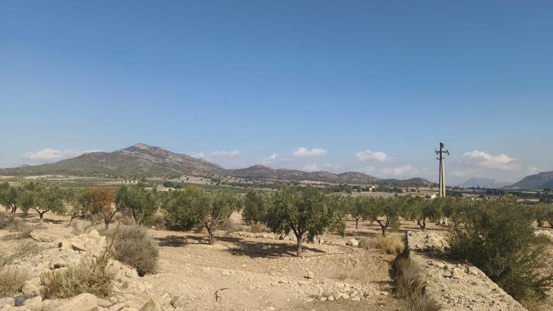 Terrenos en venta