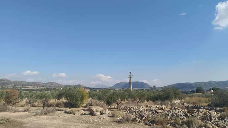Terrenos en venta