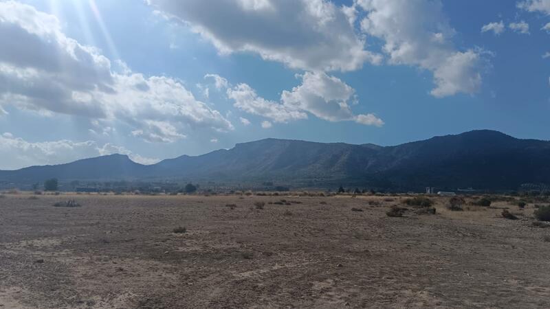 Terrenos en venta