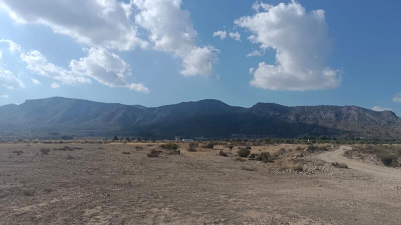 Terrenos en venta