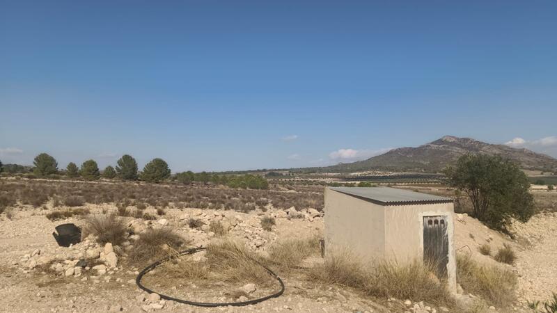 Terrenos en venta