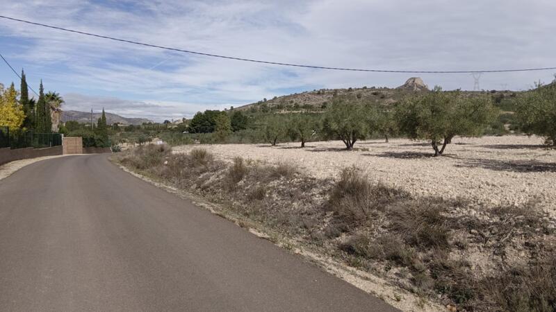 Terrain à vendre dans Salinas, Alicante