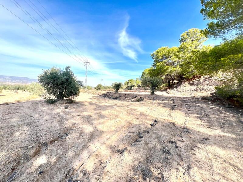 Country House for sale Country House for sale