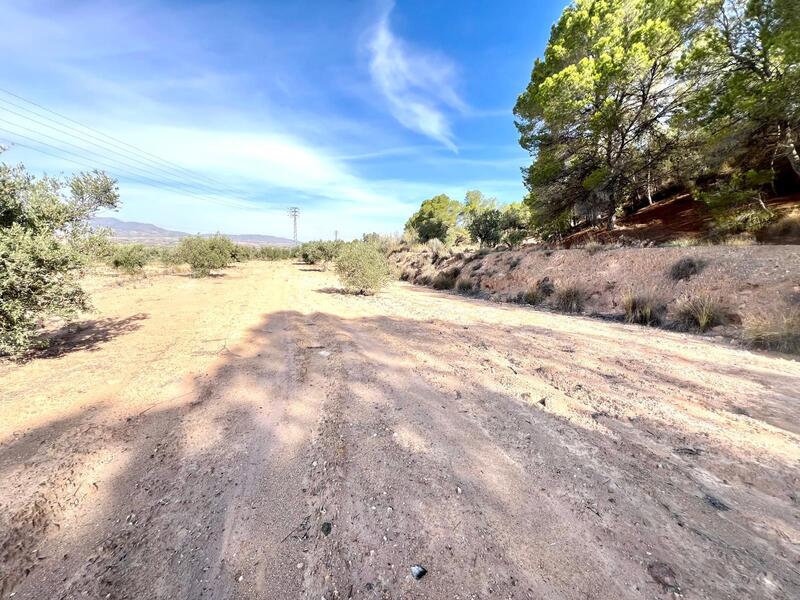 Country House for sale Country House for sale