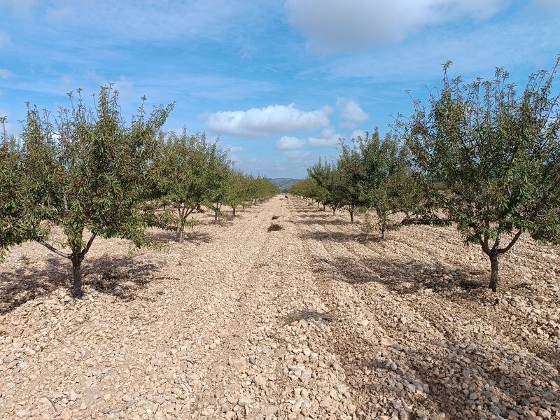 Terrenos en venta Terrenos en venta