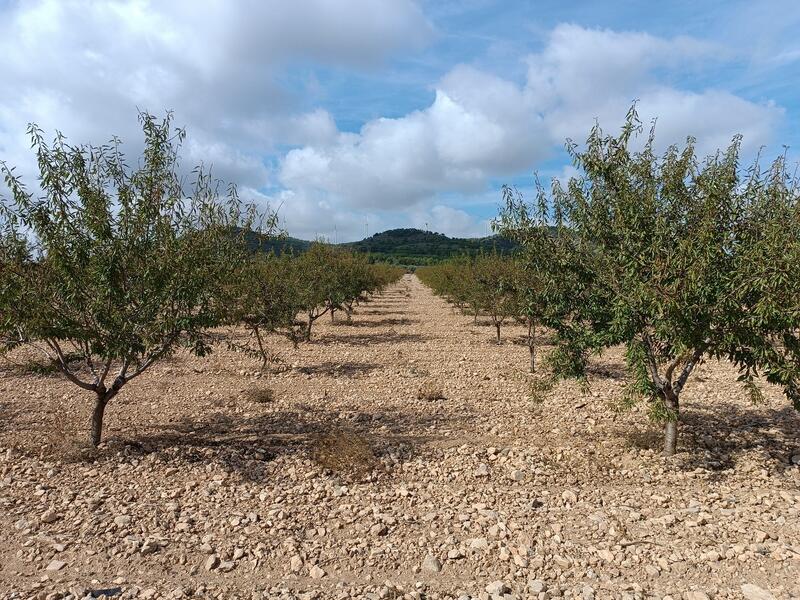 Terrenos en venta Terrenos en venta