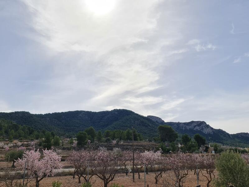 2 Cuarto Villa en venta 2 Cuarto Villa en venta