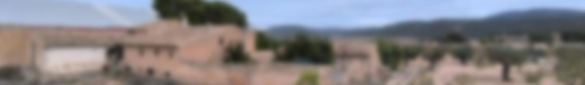 14 soveværelse Landsted til salg