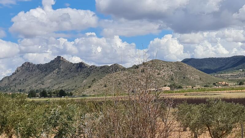 2 sovrum Lantställe till salu