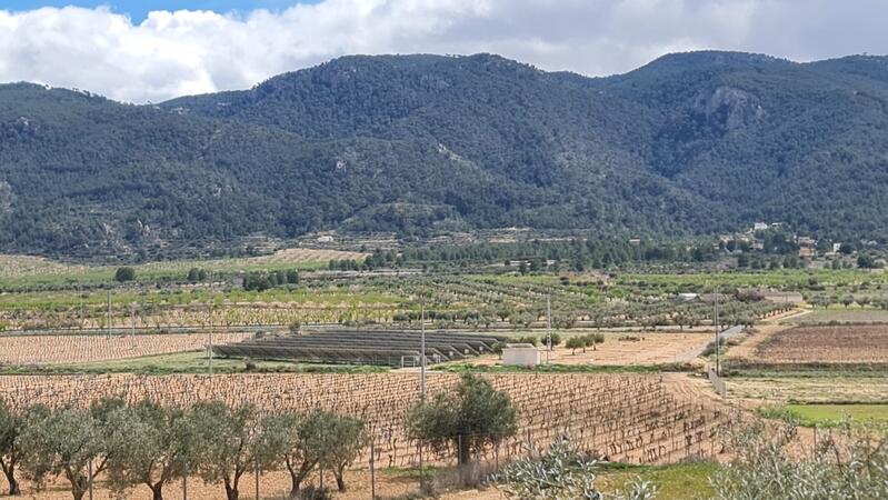 2 sovrum Lantställe till salu