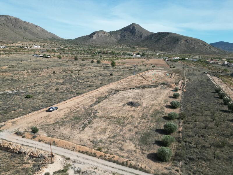 Jord til salg Jord til salg