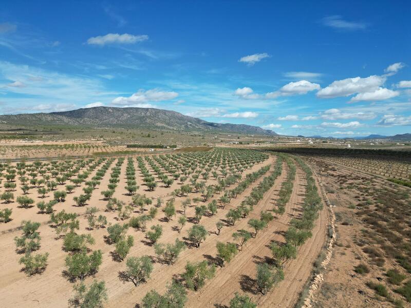 Land for sale Land for sale