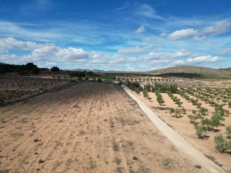 Land for sale Land for sale