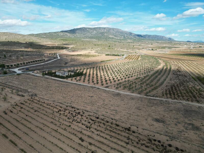 Land for sale Land for sale