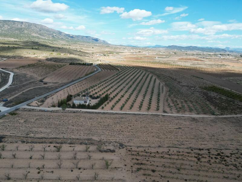 Land for sale Land for sale